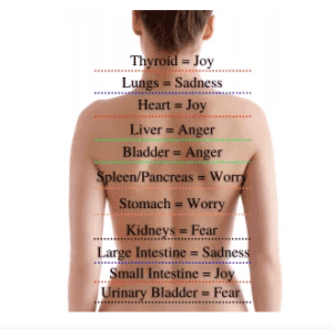 Foundation to Wellness - High Vibrational Speciality Store infused with a Holistic Wellness Centre* Crystals / Holistic Wellness/Therapy / Traditional / Alternative & Metaphysical