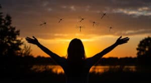 Foundation to Wellness - High Vibrational Speciality Store infused with a Holistic Wellness Centre* Crystals / Holistic Wellness/Therapy / Traditional / Alternative & Metaphysical