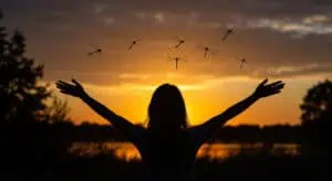 Foundation to Wellness - High Vibrational Speciality Store infused with a Holistic Wellness Centre* Crystals / Holistic Wellness/Therapy / Traditional / Alternative & Metaphysical