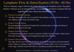 Lymphatic Flow & Detoxification (30 Hz - 60 Hz)